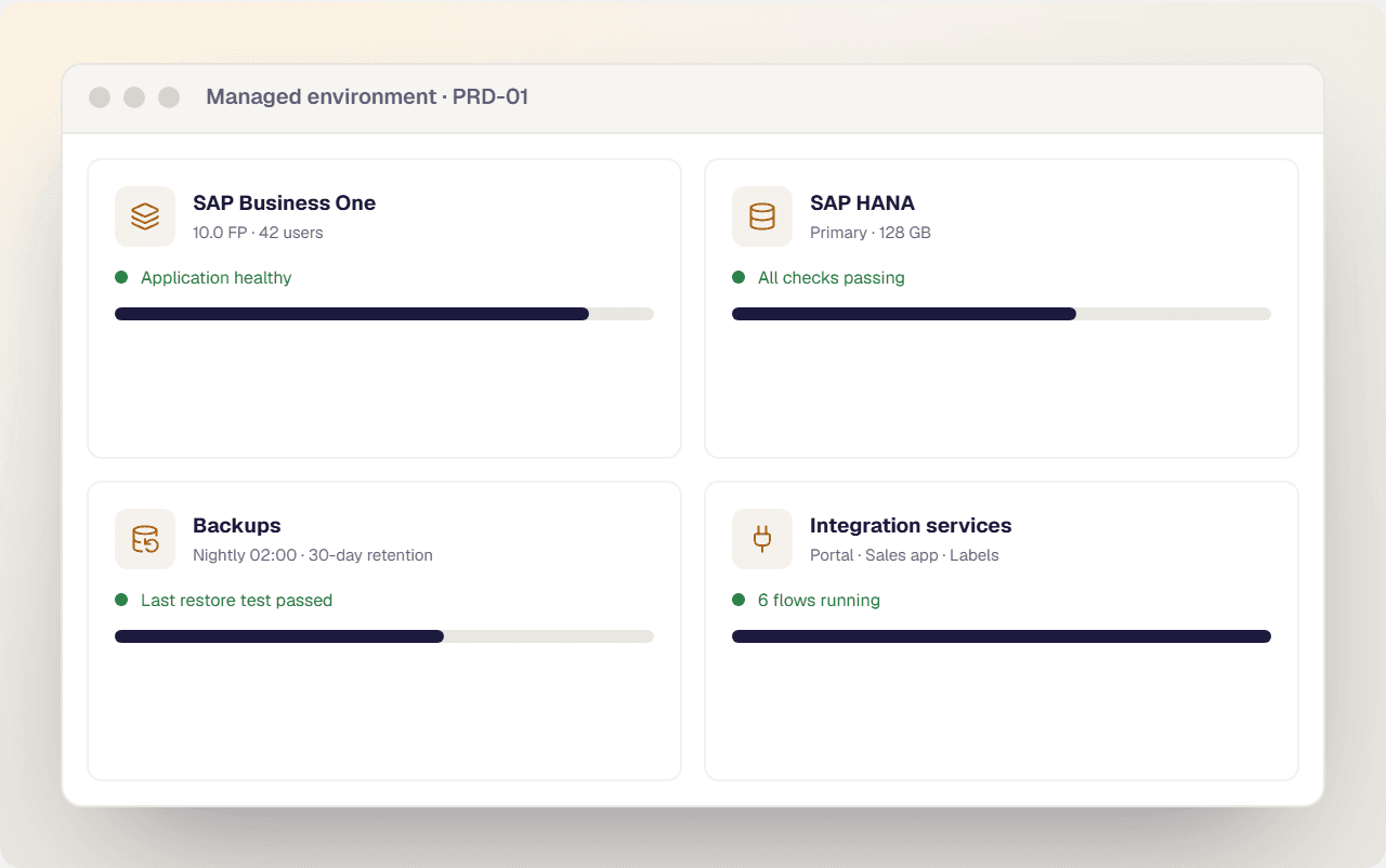 Managed environment console showing SAP Business One, HANA, backups and integration services healthy